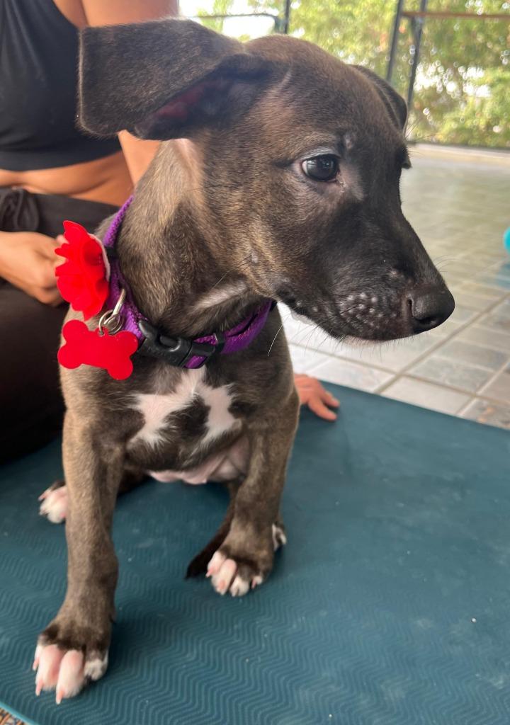 Emma — thumbnail 4