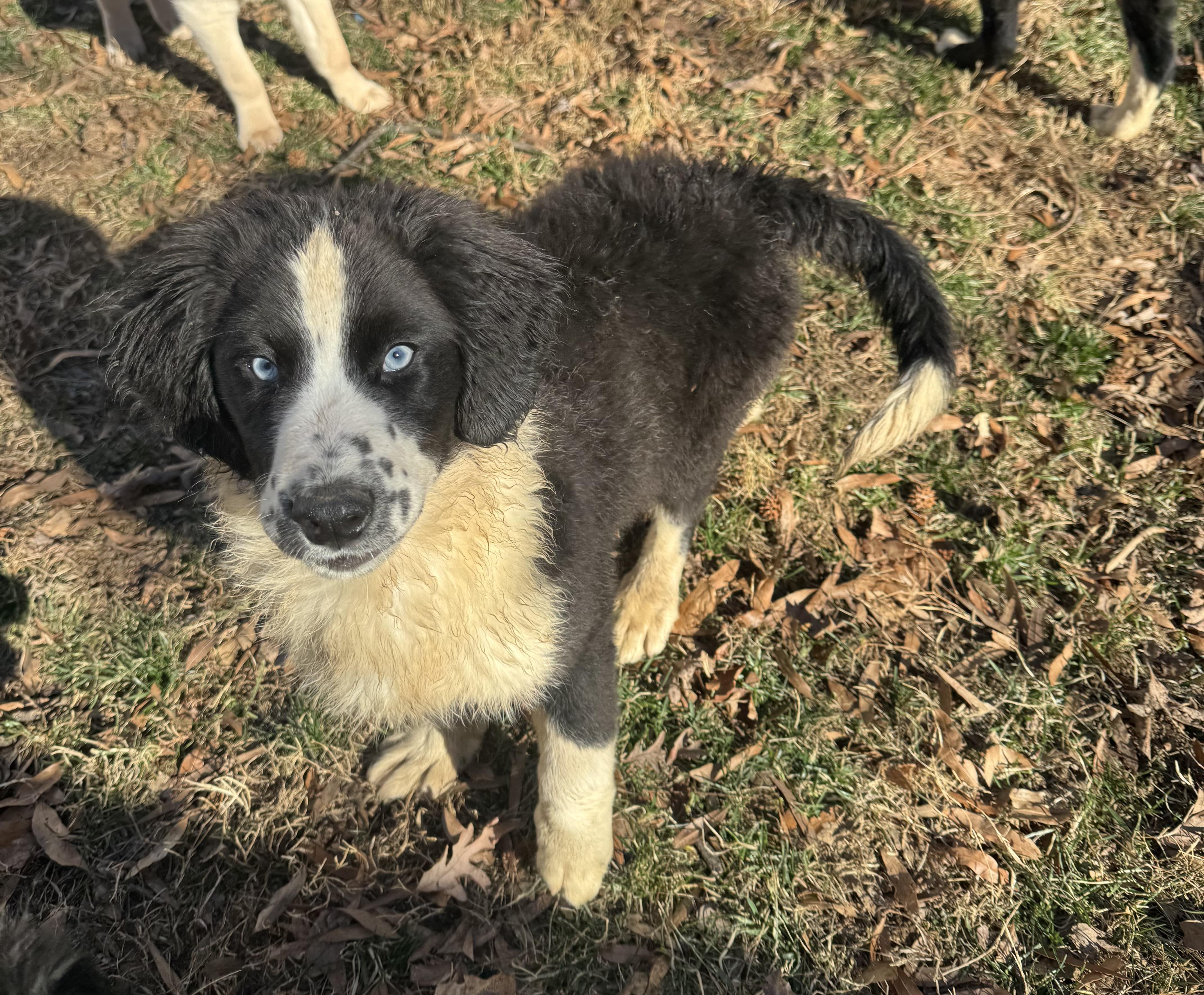 Princess thumbnail 2