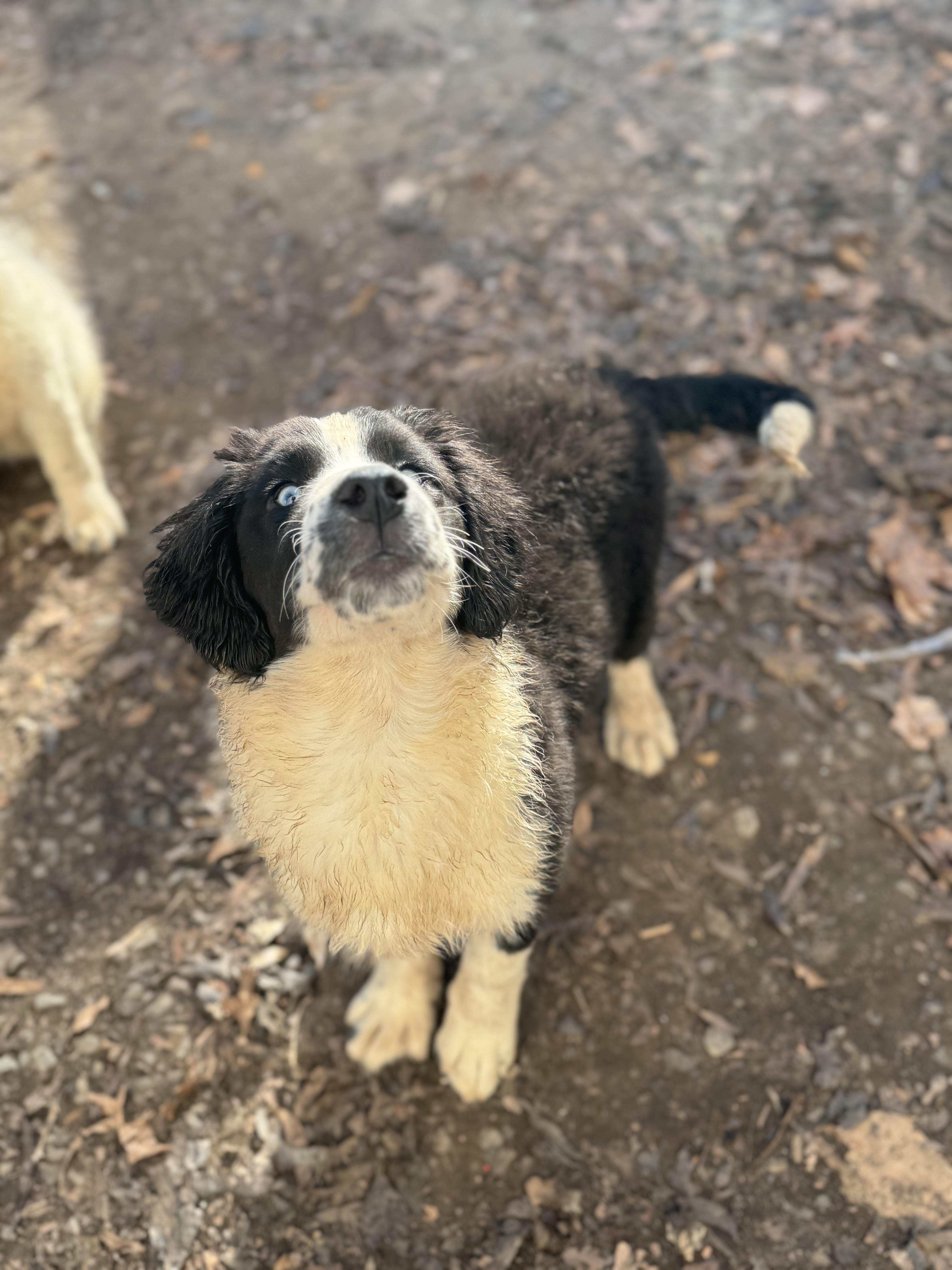 Princess thumbnail 3