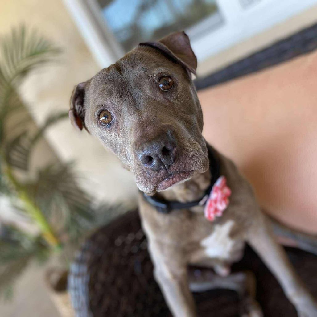 Baby — thumbnail 2