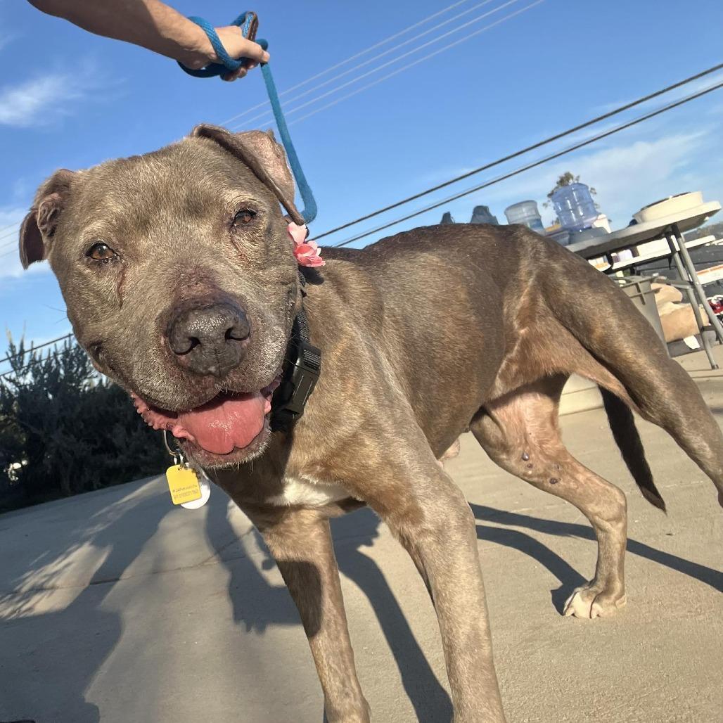 Baby — thumbnail 3