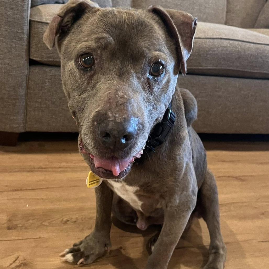 Baby — thumbnail 4