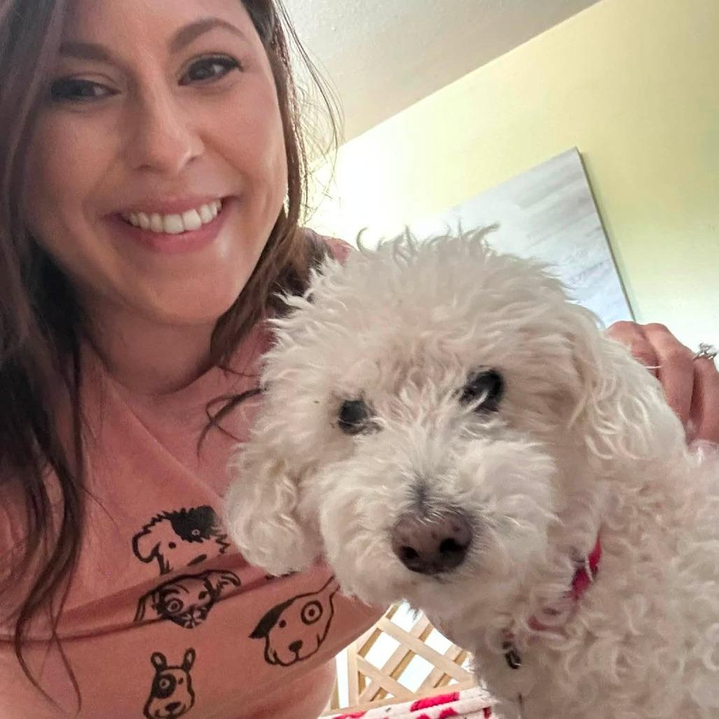 Charlie Monaghan, a Adoptable Miniature Poodle in Ramona, CA image 5/5