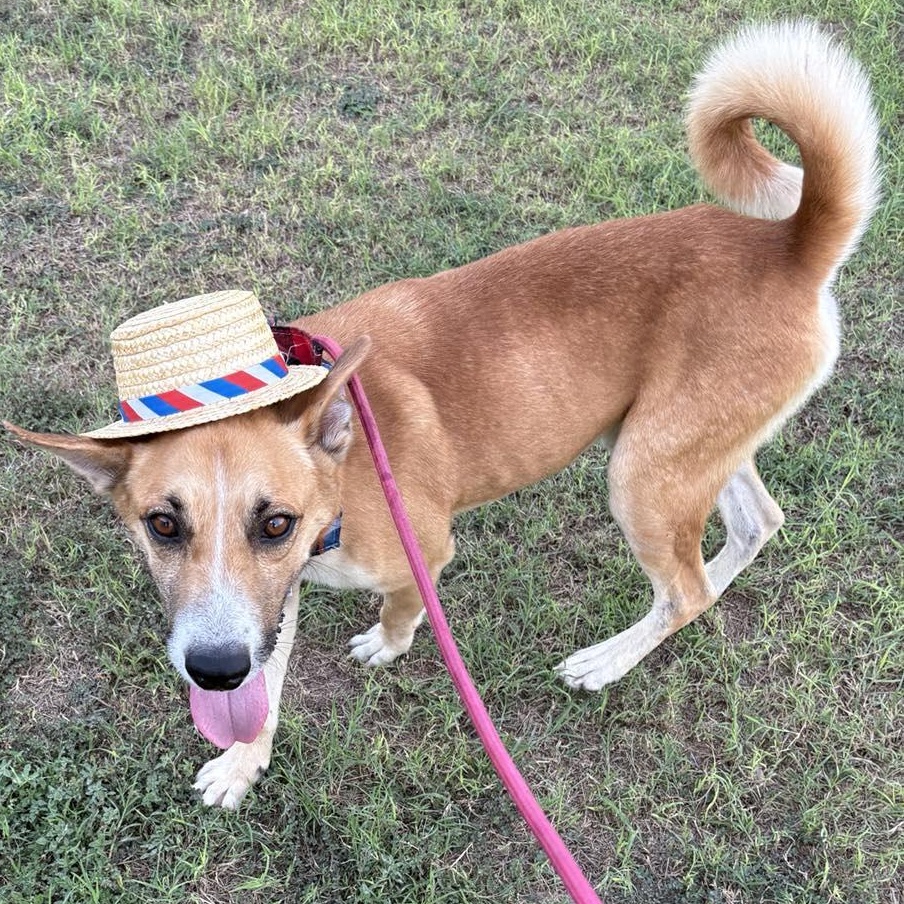 Flako — thumbnail 3