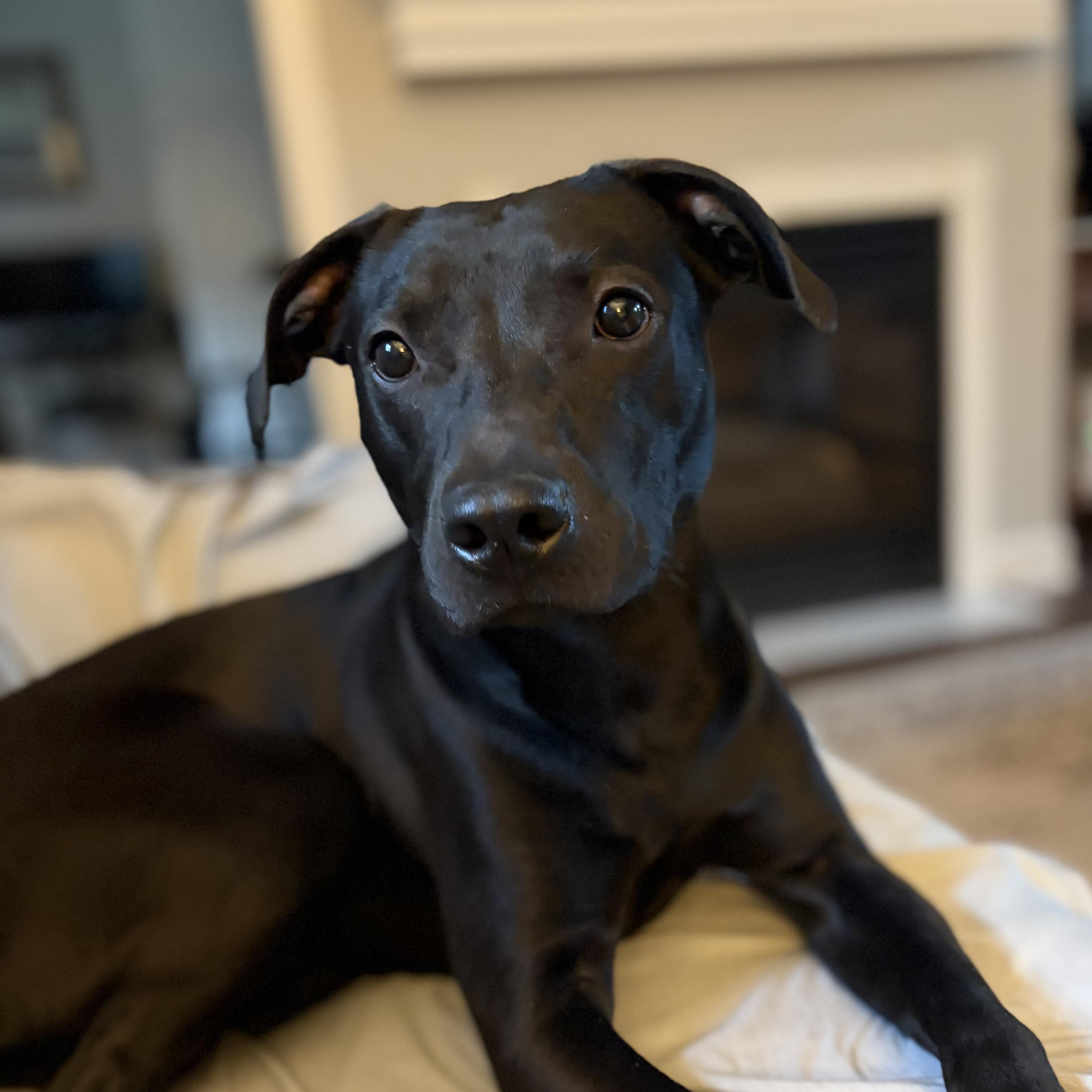 Vista — thumbnail 4