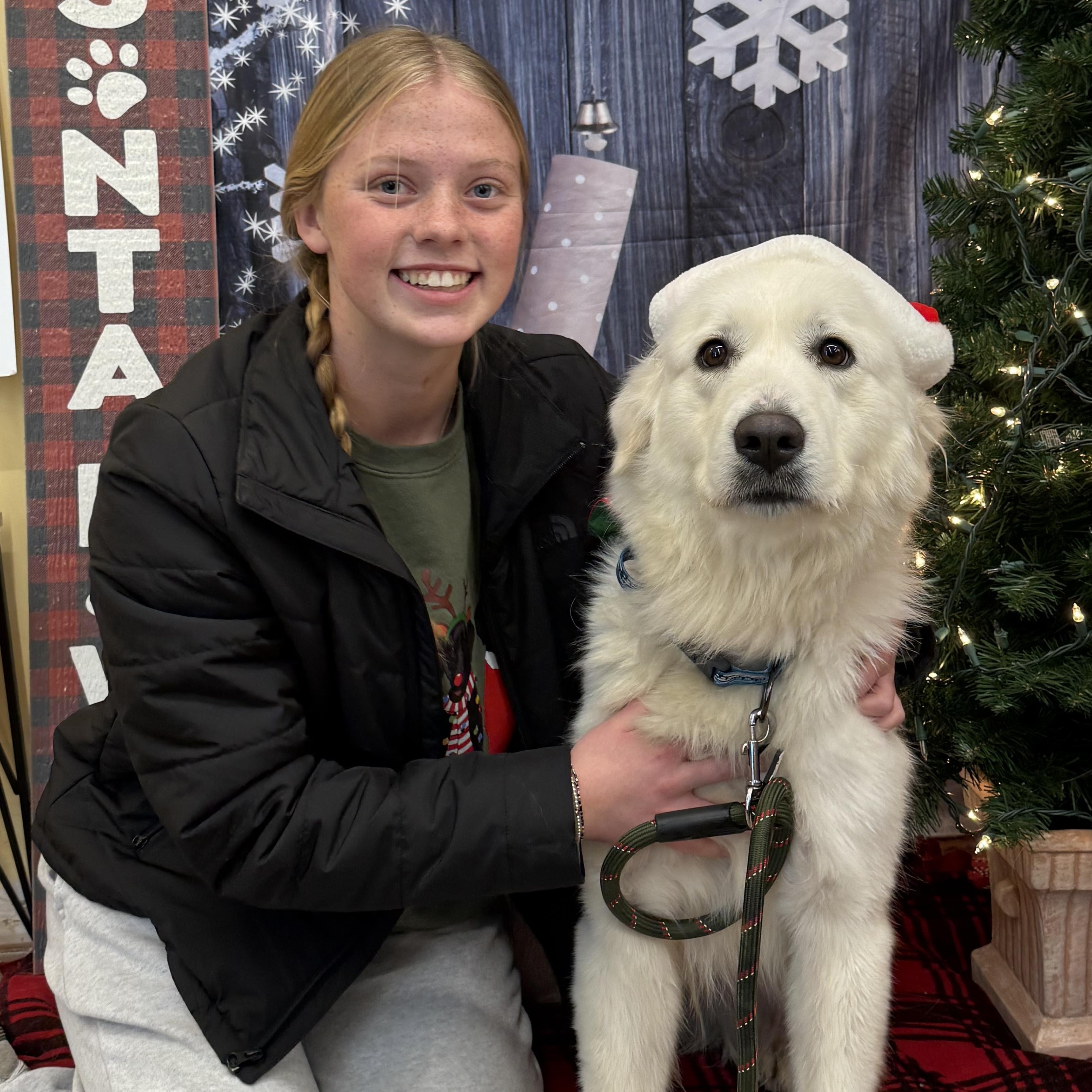 Enlarge Snow - New to Rescue - Young - Needs Foster, a ADOPTABLE Great Pyrenees in Indianapolis, IN image 3/6