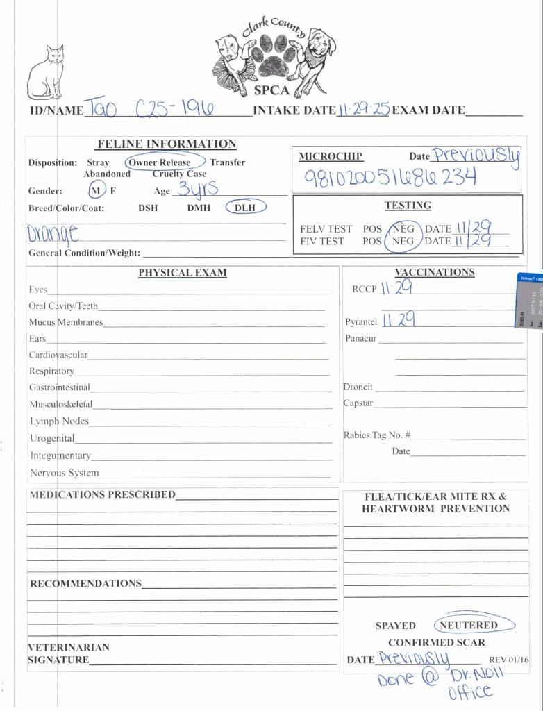 Enlarge Tao, a Adoptable mixed breed in Springfield, OH image 2/3