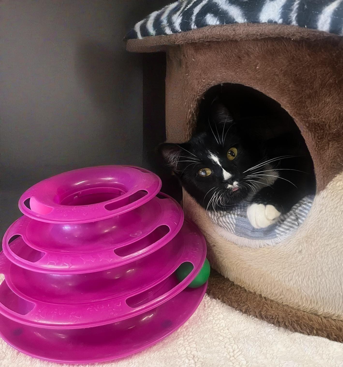 Gia – Sweeter than a Pumpkin Spice Latte