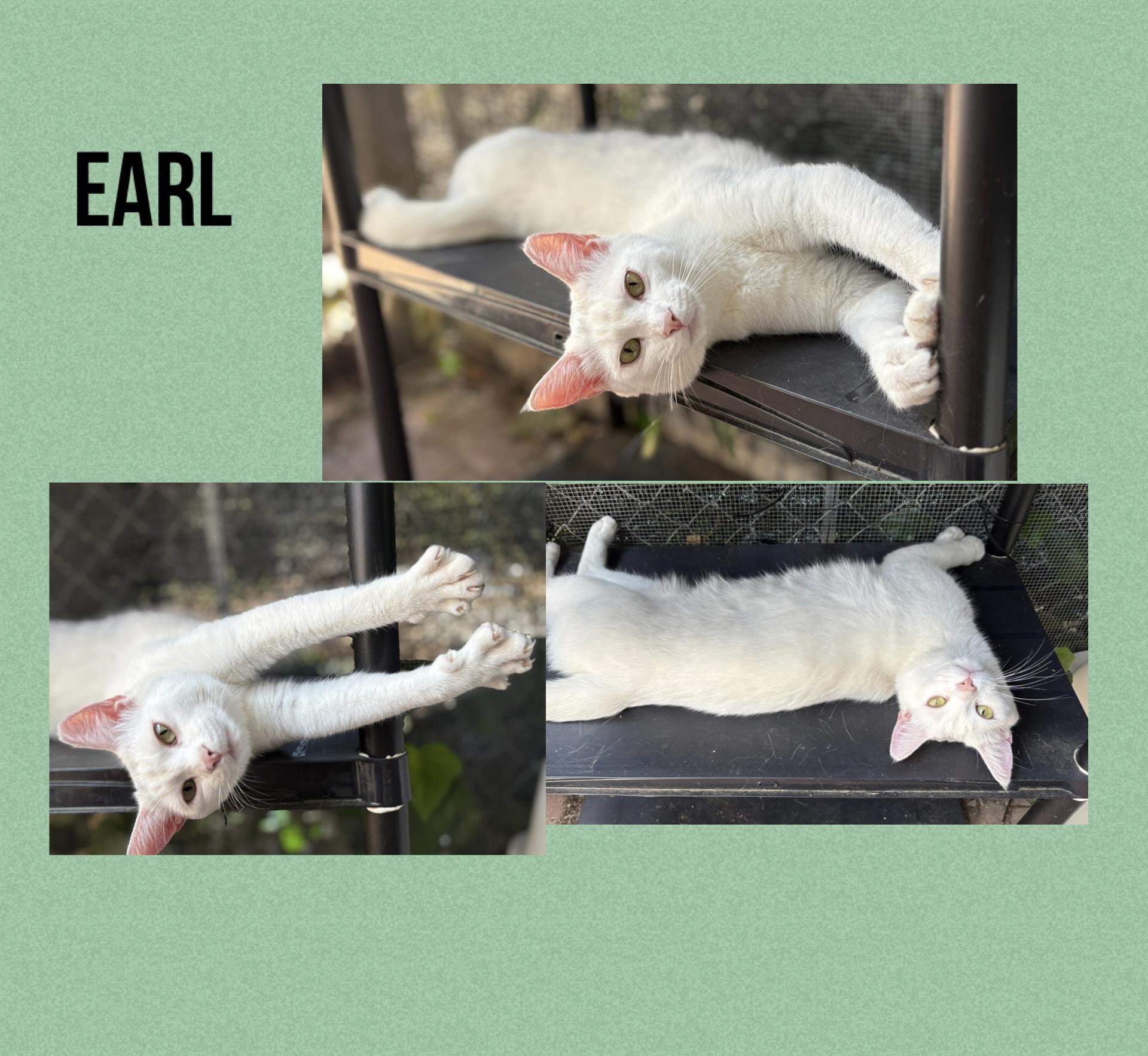 Randy & Earl - bonded siblings