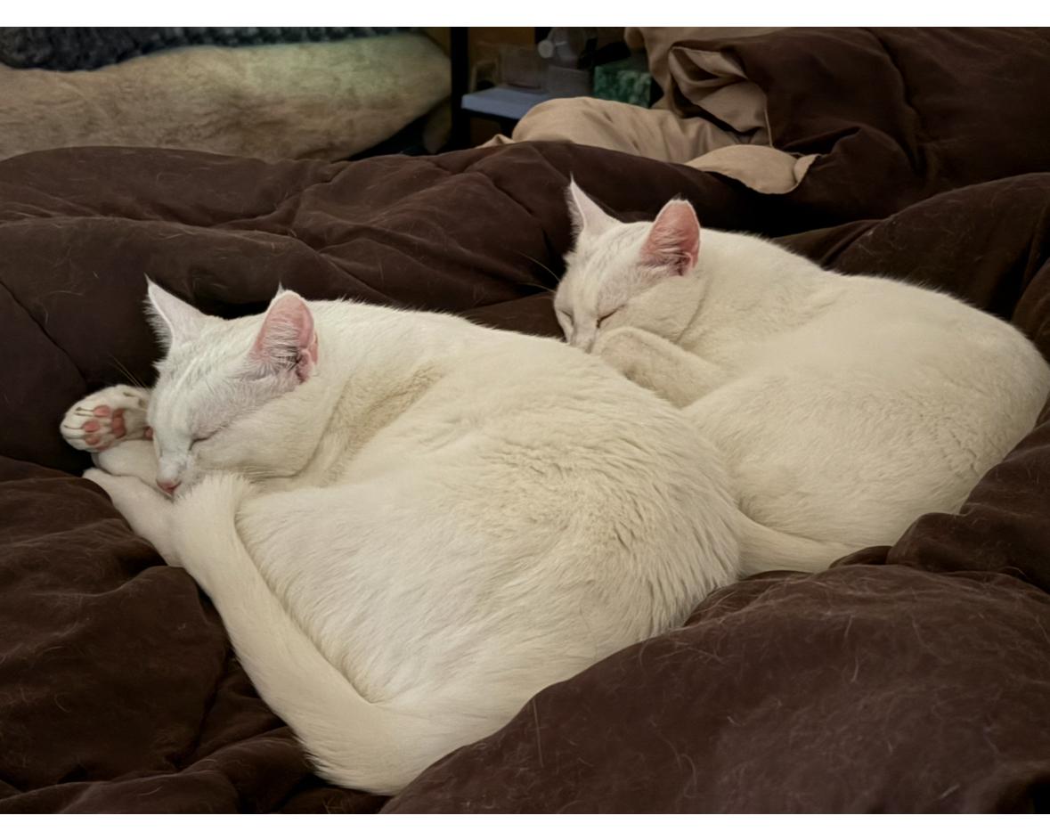 Randy & Earl - bonded siblings