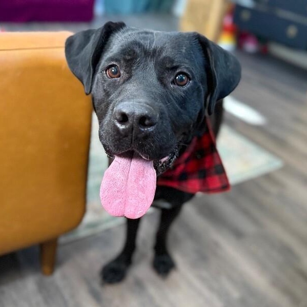 Finn Fun Loving Family Man