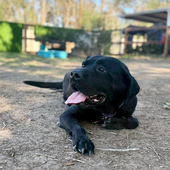 Finn Fun Loving Family Man — thumbnail 3