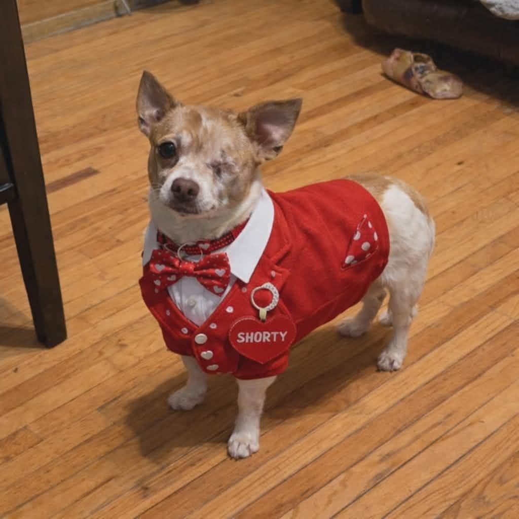 Shorty — thumbnail 6