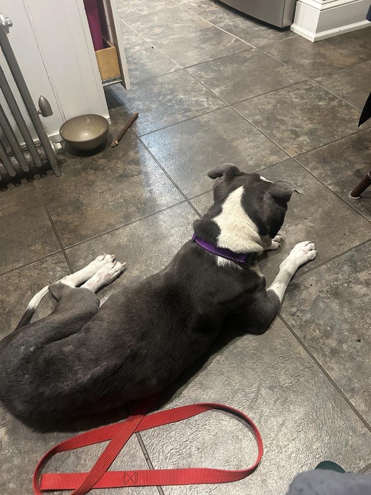 Sabrina The Sweetheart