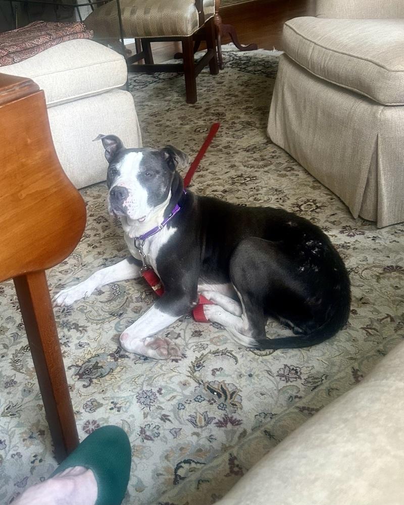 Sabrina the Sweetheart