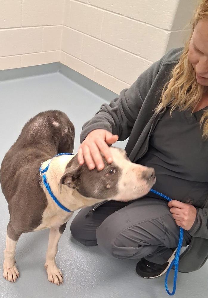 Sabrina The Sweetheart thumbnail 2