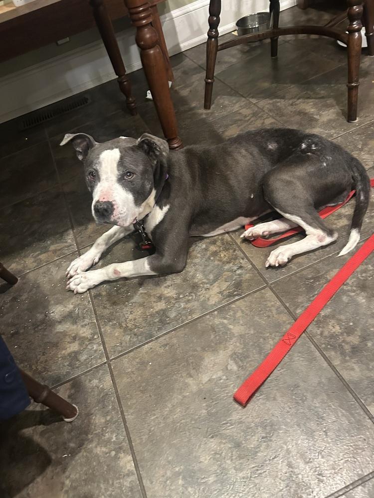 Sabrina The Sweetheart thumbnail 3