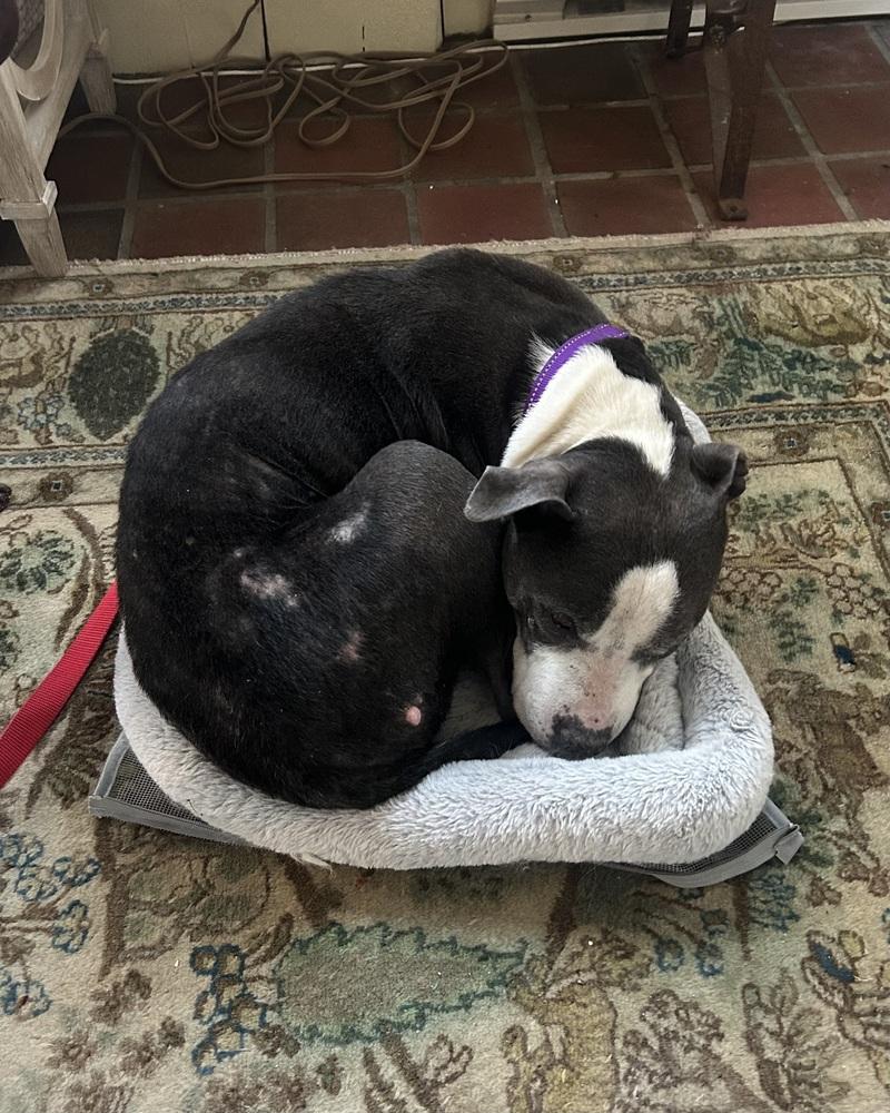 Sabrina the Sweetheart — thumbnail 3