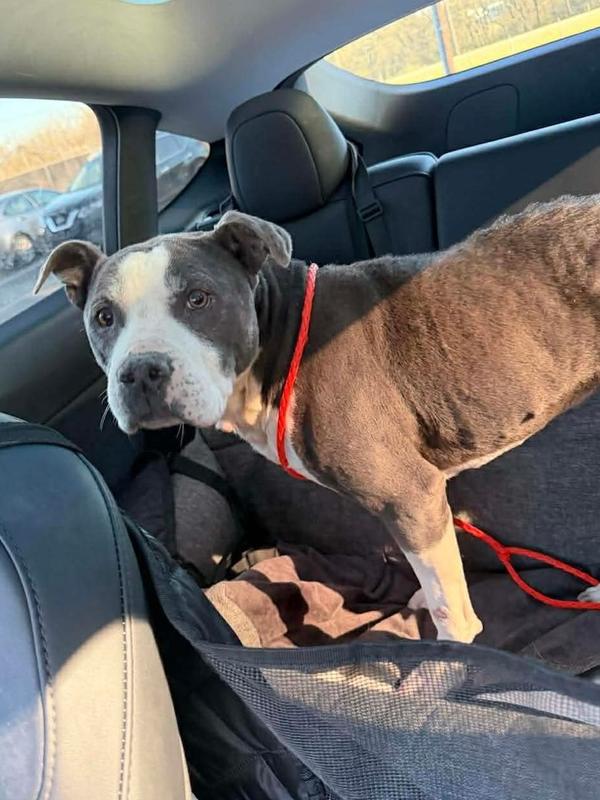 Sabrina The Sweetheart thumbnail 5