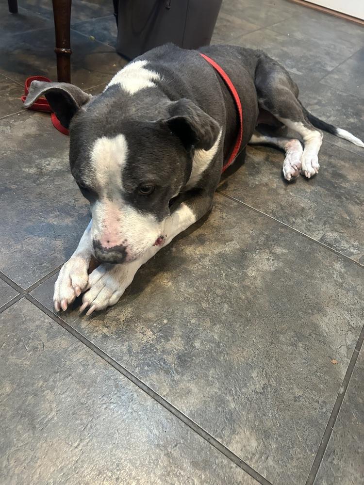 Sabrina The Sweetheart thumbnail 6