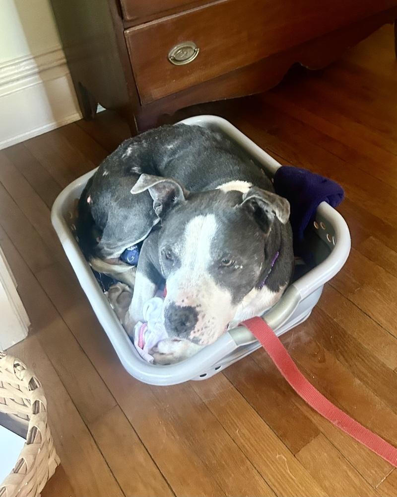 Sabrina the Sweetheart — thumbnail 6