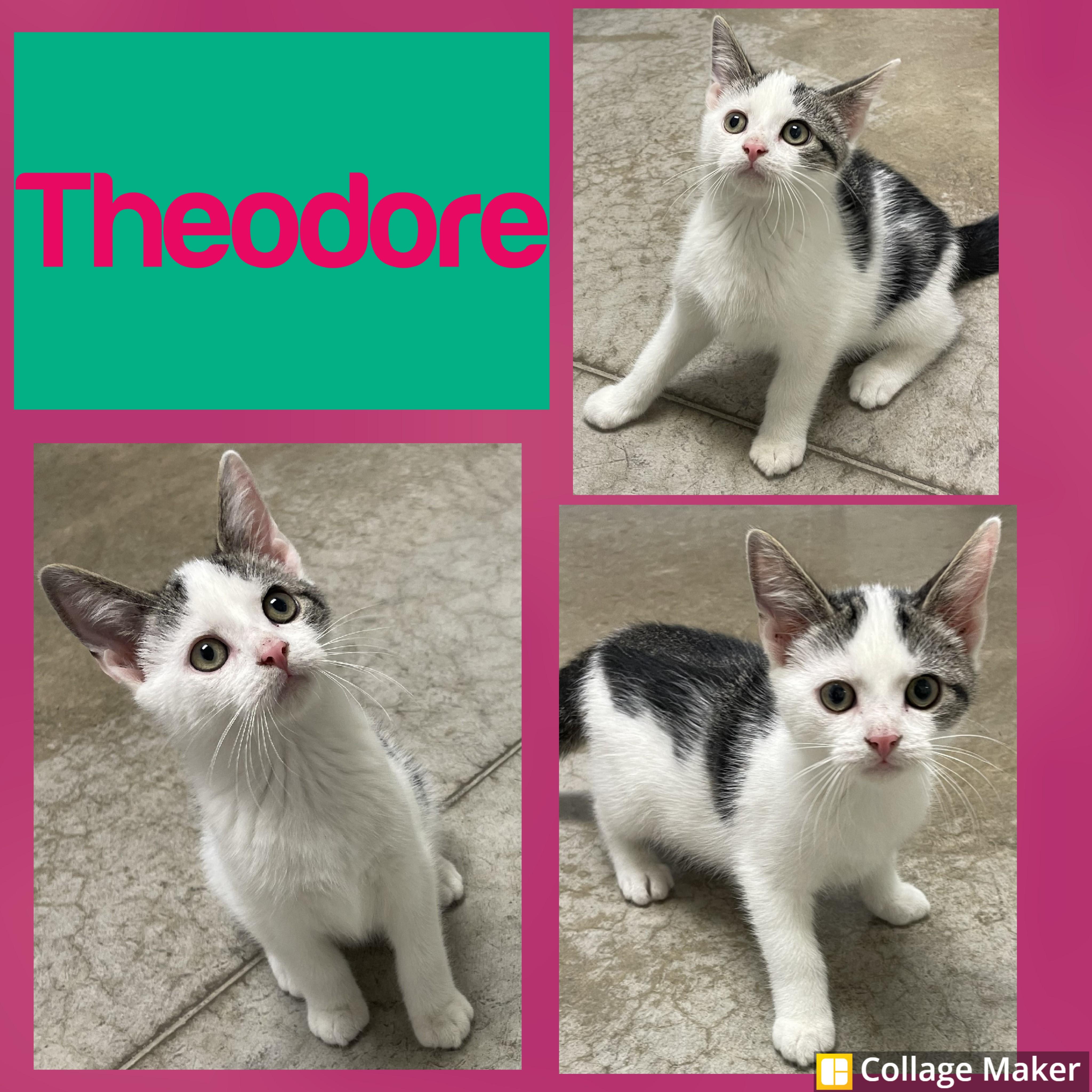 Theodore