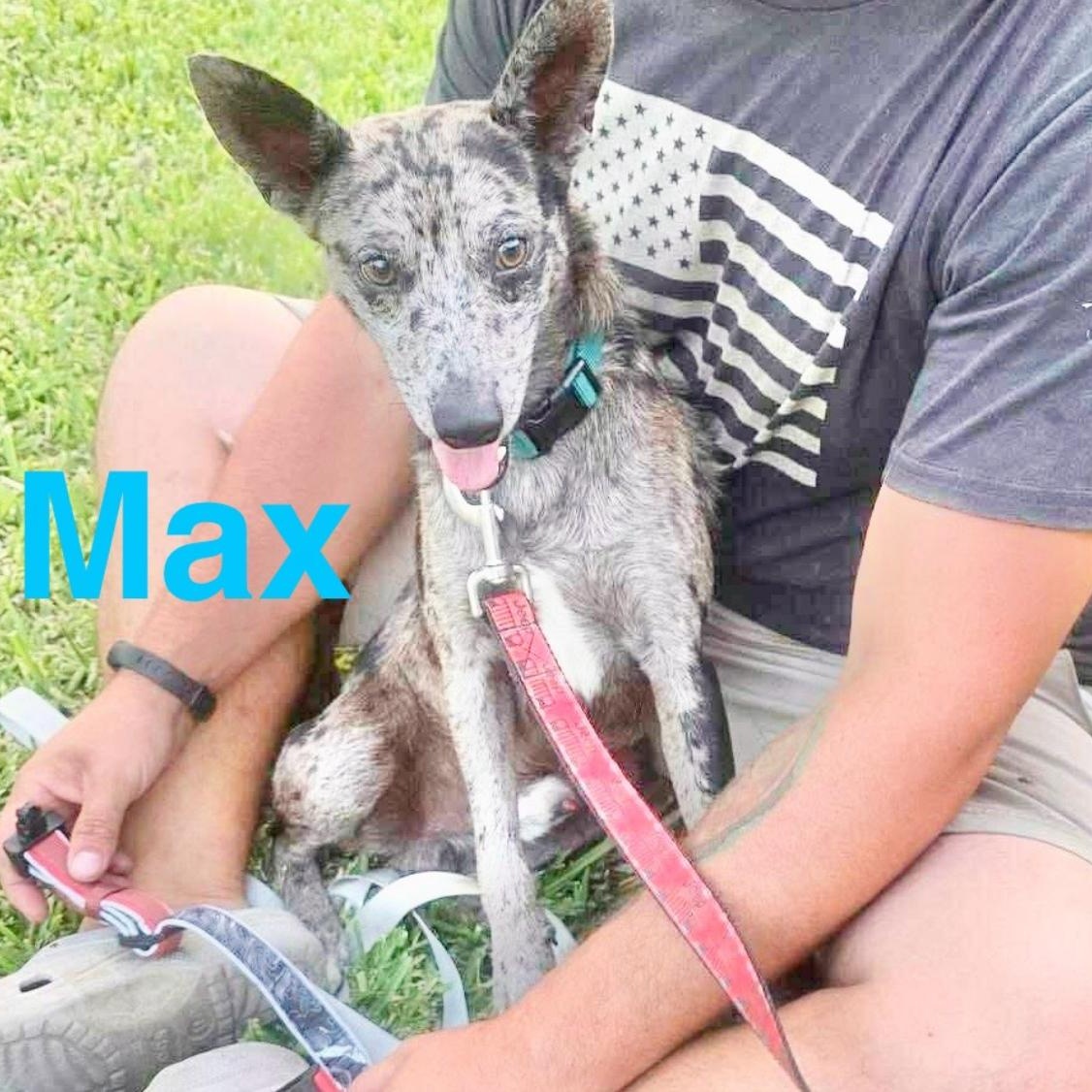 Max