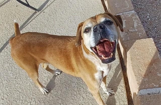 CLARK* — thumbnail 2