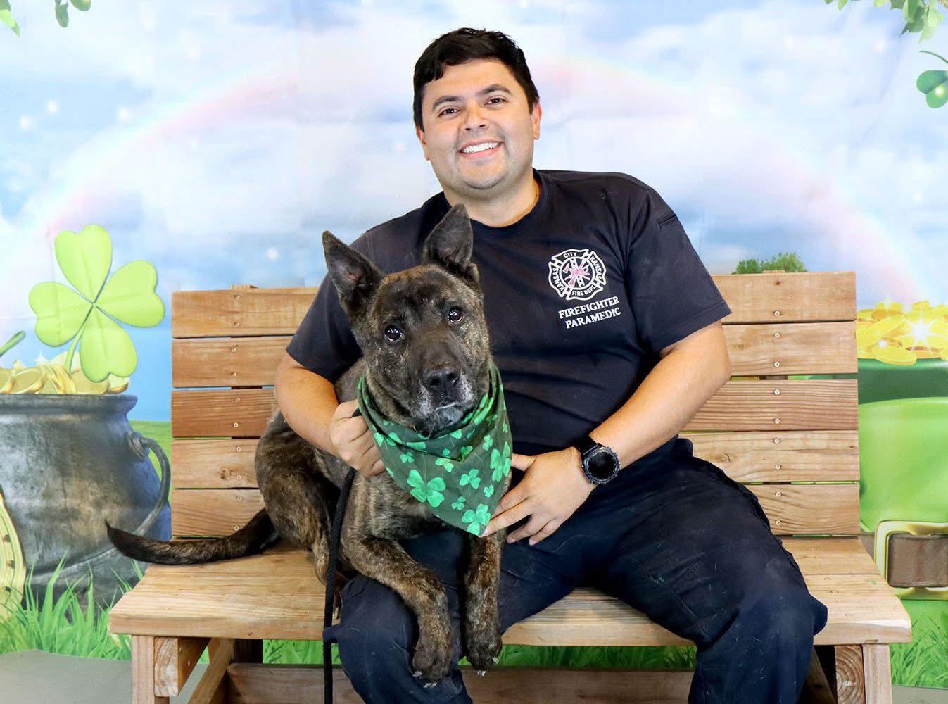 Enlarge Mike (AO34187), a Adoptable mixed breed in Kansas City, KS image 2/6