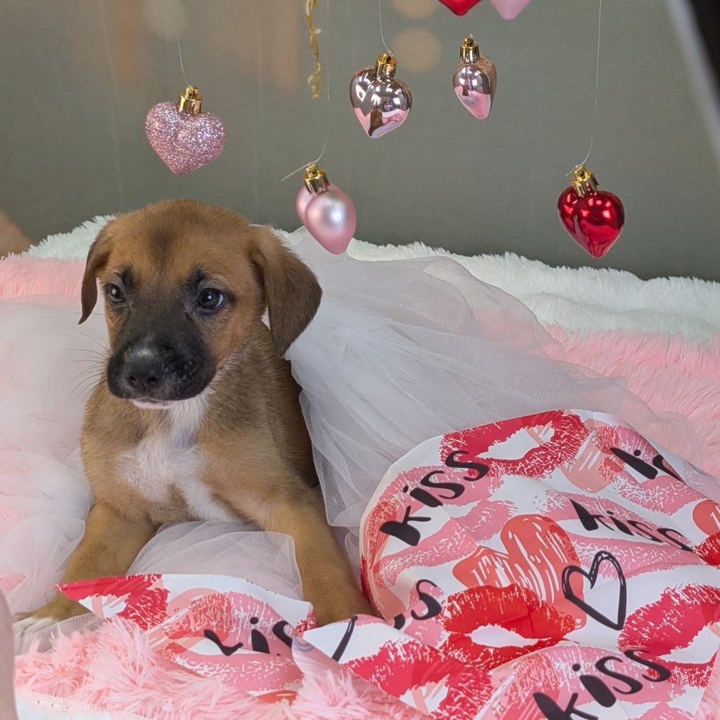 Jack Frost — thumbnail 2