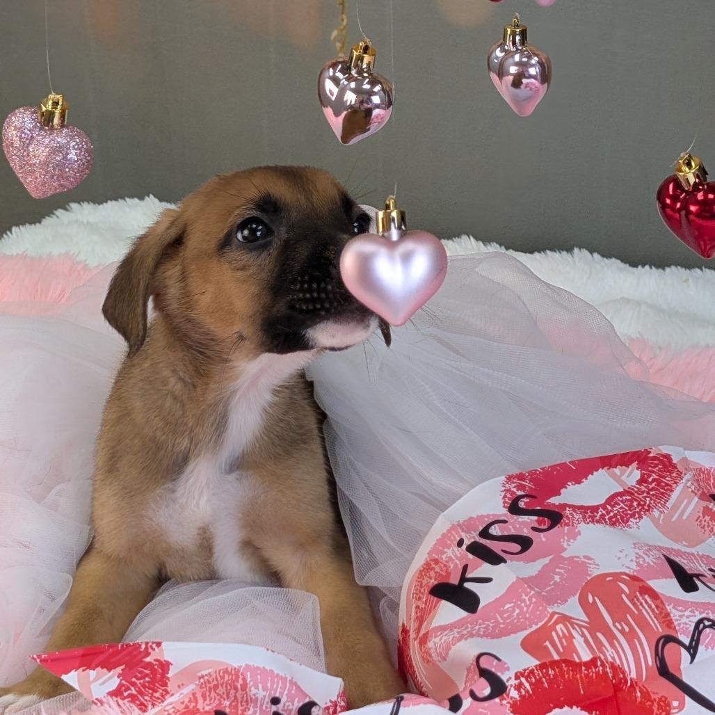 Jack Frost — thumbnail 3