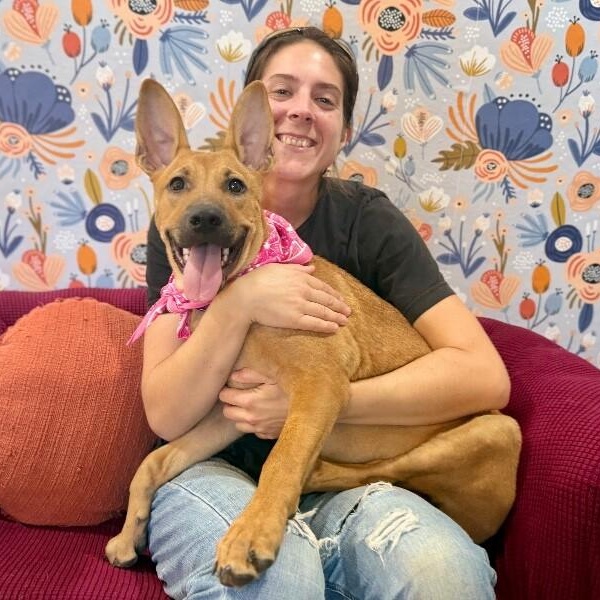 Feah Playful Little Working thumbnail 6