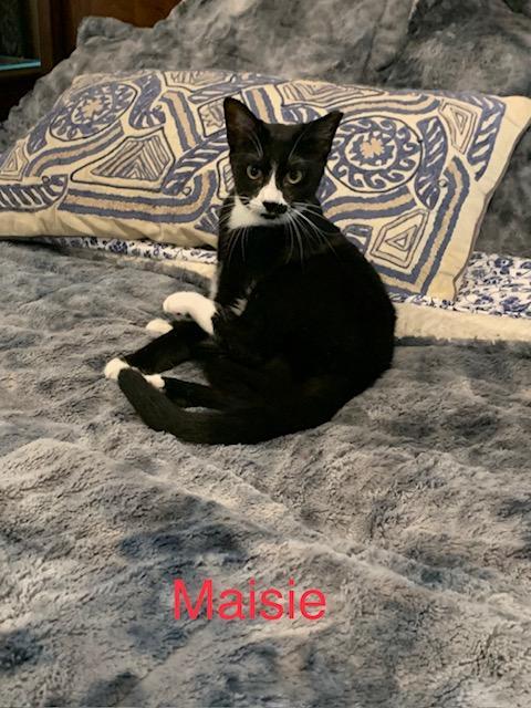 Maisie R.- COURTESY LISTING - MELTS IN YOUR ARMS!