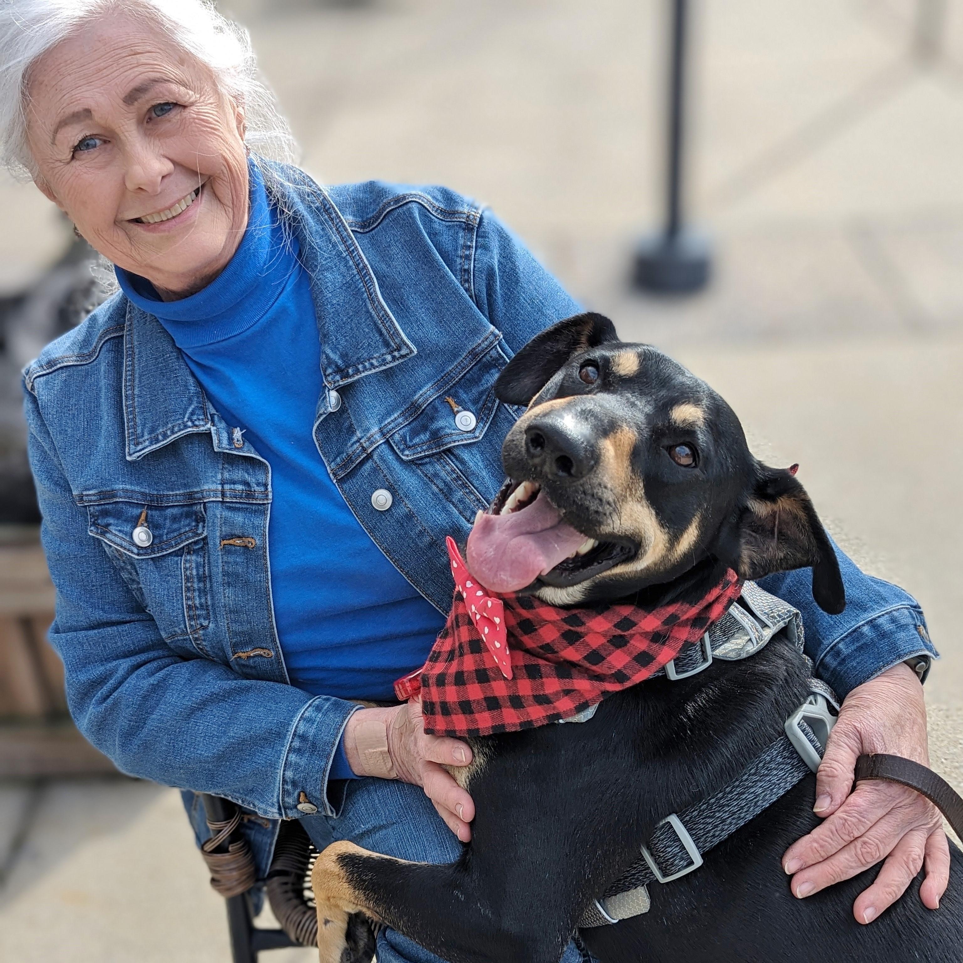 Buck, a Adoptable mixed breed in Helena, AL image 3/6