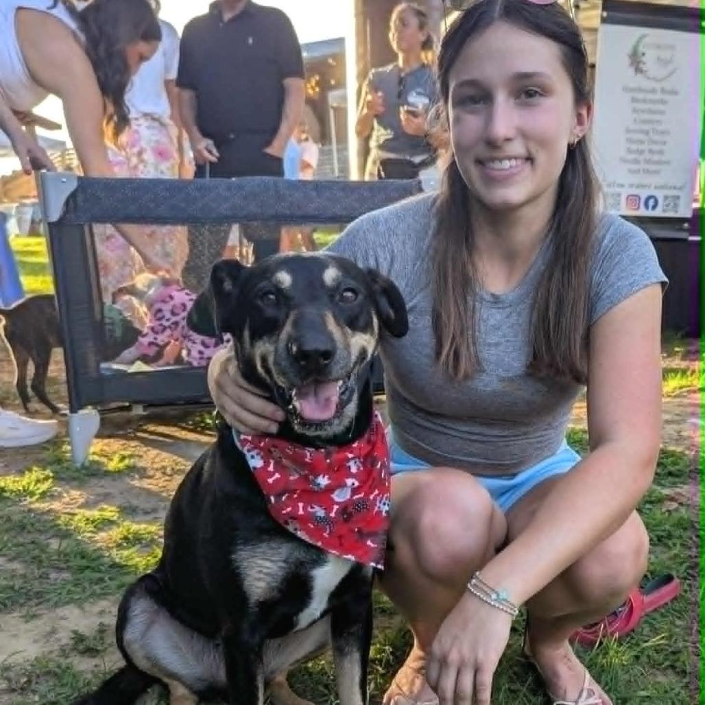 Buck, a Adoptable mixed breed in Helena, AL image 2/6