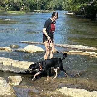 Buck, a Adoptable mixed breed in Helena, AL image 5/6