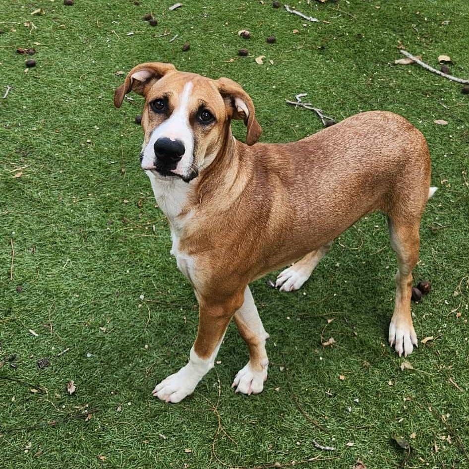 Harold JuM — thumbnail 2