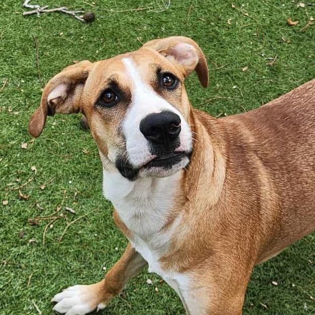 Harold JuM — thumbnail 3