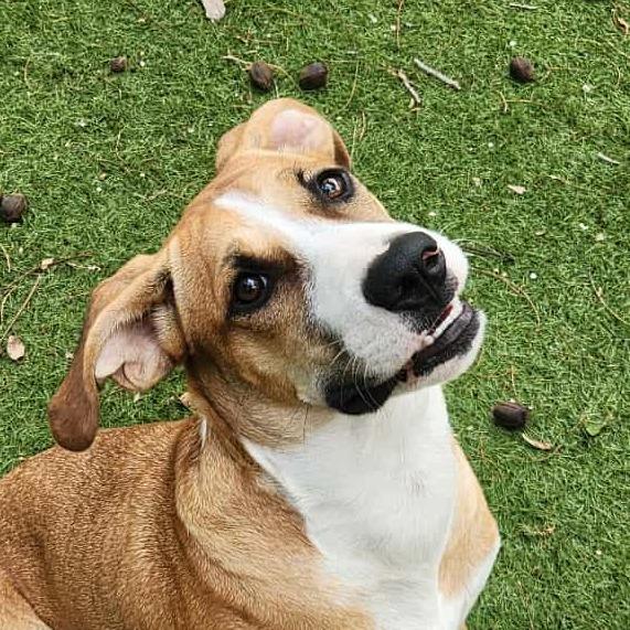 Harold JuM — thumbnail 4