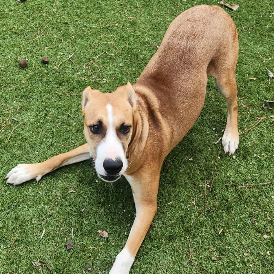 Harold JuM — thumbnail 5