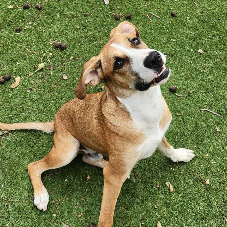 Harold JuM — thumbnail 6