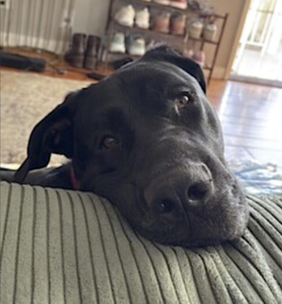 Storm — thumbnail 2