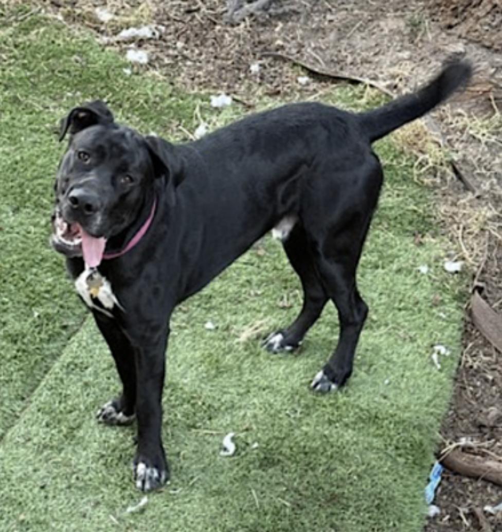 Storm — thumbnail 3