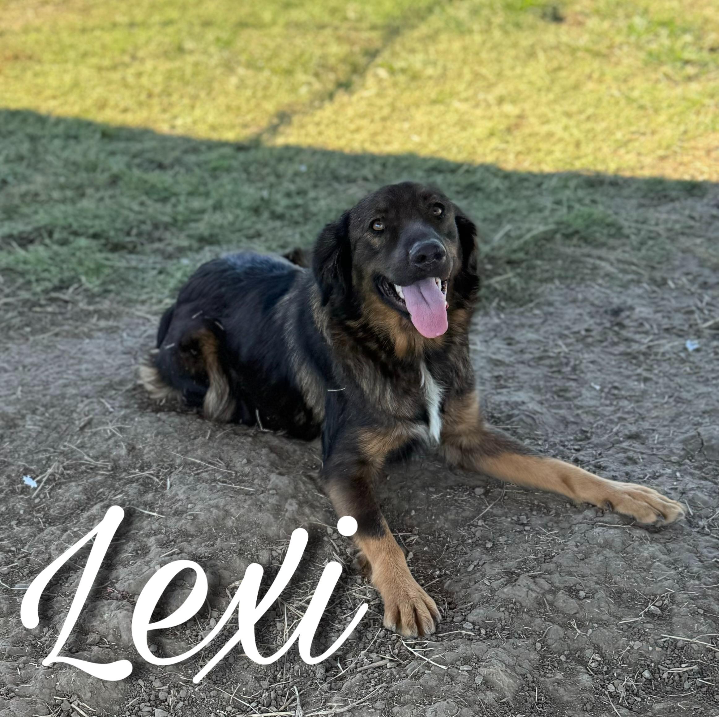 Lexi, Young Female unknown