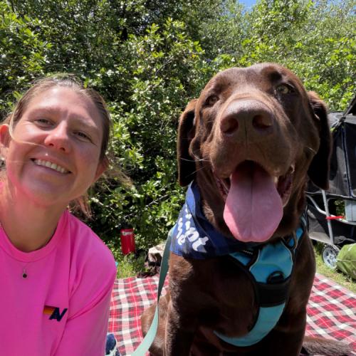 Enlarge Locke, a Adoptable Chocolate Labrador Retriever in Austin, TX image 3/5