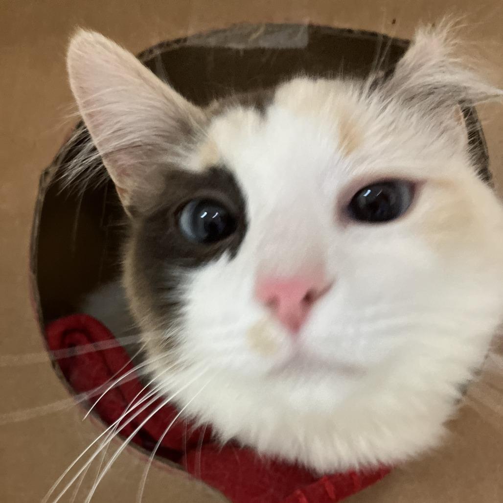 Liza — thumbnail 2