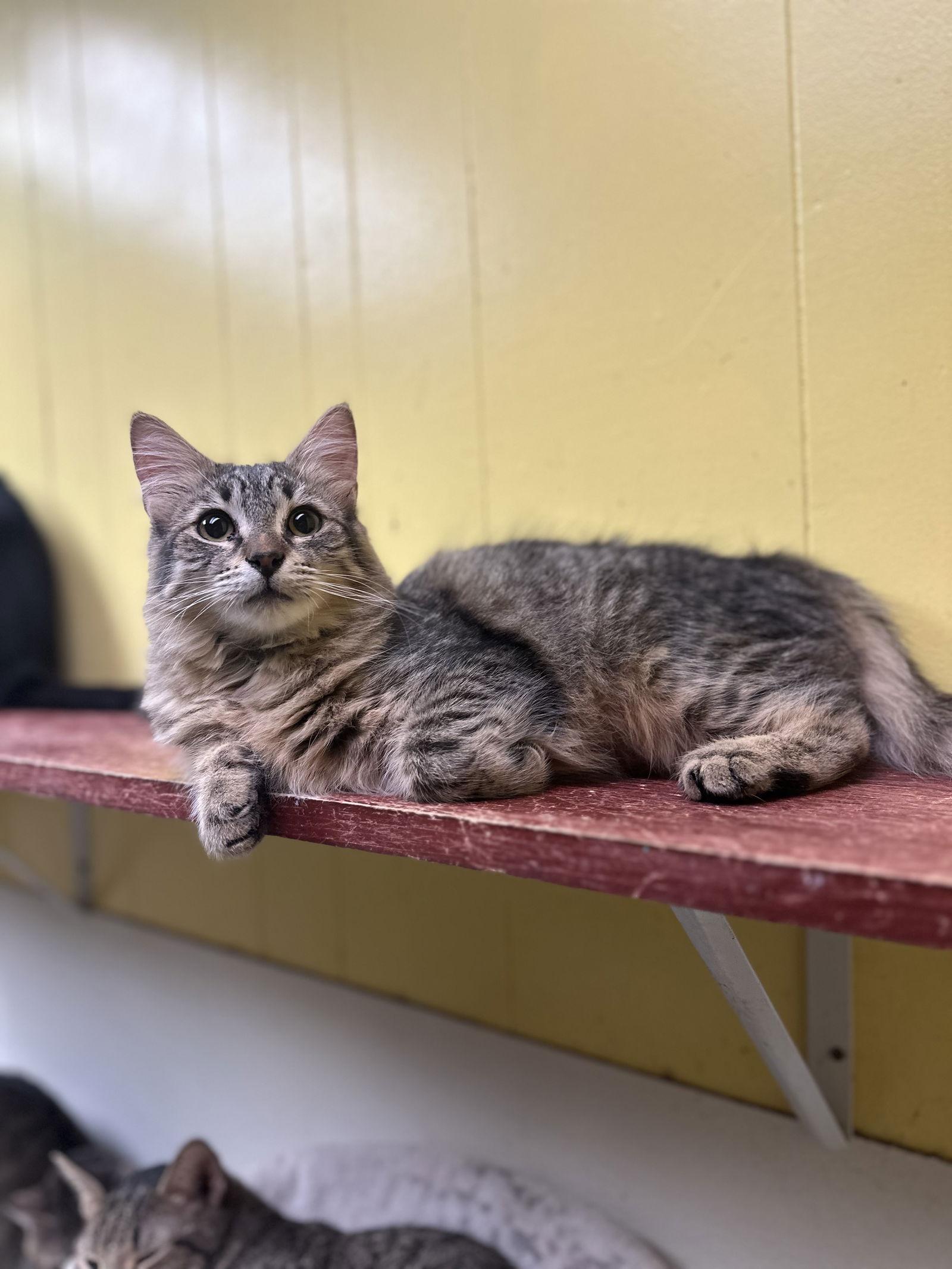 Breeze — thumbnail 2