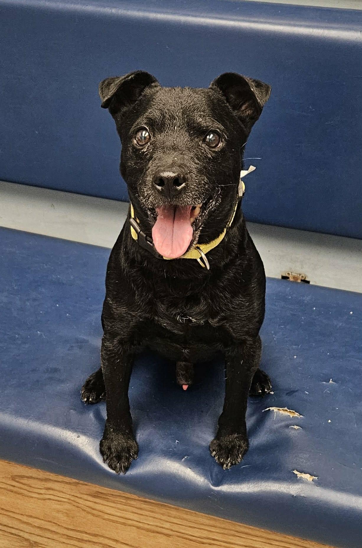 Zeke — thumbnail 2