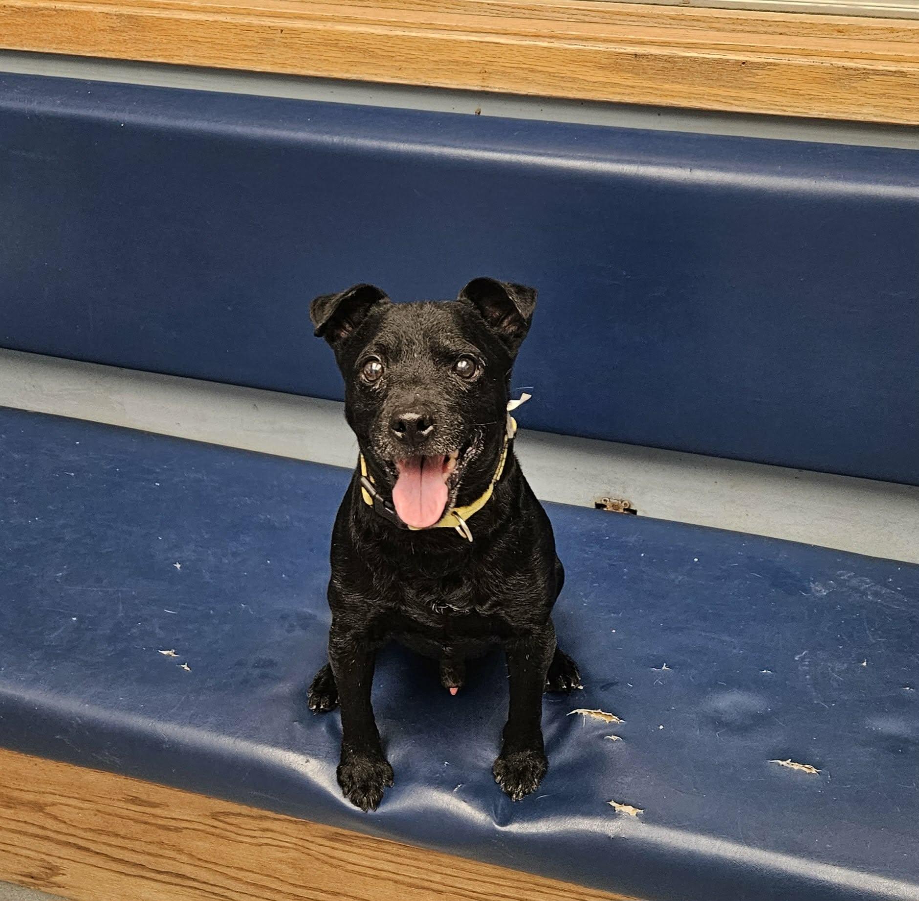 Zeke — thumbnail 4