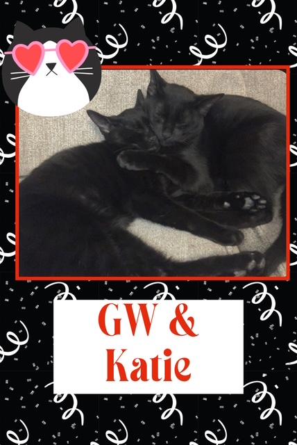Gw & Katie thumbnail 2